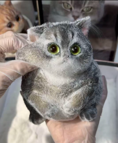 🐾 Lifelike Squishy Cat – 50% OFF Starts Now! Stock Up & Save More!